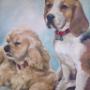 Pampered Pooches