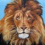 Portrait of a Lion