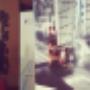 Presentation at CESA