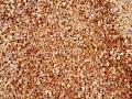 Sand & Stone