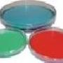 Petri dish