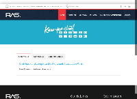 Risk Assessment Services's website