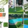 Artificial Grass