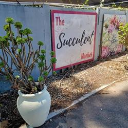 The Succulent Market