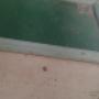 Uploaded by visitor on 2017/08/02