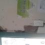 Uploaded by visitor on 2017/08/02 - fix and repairing of doors