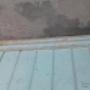Uploaded by visitor on 2017/08/02 - painting of doors