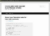 click and ship online electronic store's website