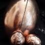 Uploaded by visitor on 2016/04/14 - Rugby trophies