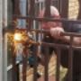 Replacing a Gate Lock
