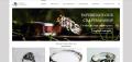 Website Design