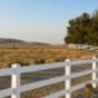 Ranch Fencing