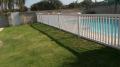 Pool Fence