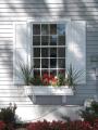 Window Shutters