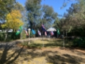 Garden and flags