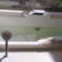 Jacuzzi bath