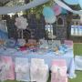 Cinderella decor