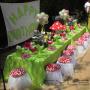 Uploaded by visitor on 2015/11/19 - Tinkerbell Woodland Fairy