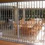 Uploaded by visitor on 2016/04/06 - Expanding Gate