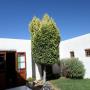 Private Courtyard