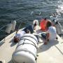 Boat Cruise Durban