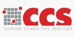 Concise Consulting Services