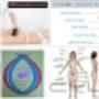 Uploaded by visitor on 2016/01/25 - Non-Surgical Ultrasound Liposuction