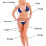 Uploaded by visitor on 2016/01/25 - Non-Surgical Ultrasound Liposuction
