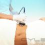 Uploaded by visitor on 2016/01/25 - Non-Surgical Ultrasound Liposuction