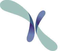 Kena Projects
