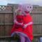 Peppa-pig