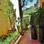 Uploaded by visitor on 2016/02/10 - Entrance view - Accommodation Hartbeespoortdam