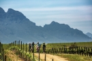 Winelands EBike Tours