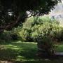 Garden area