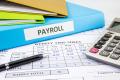 Domestic-Employee-Payroll