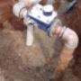 Uploaded by visitor on 2017/05/30