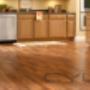 Uploaded by visitor on 2016/05/02