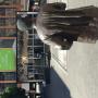Outdoor Promotional Court
