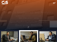 Cyber Infrastructure (P) Ltd's website