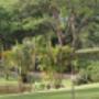 Farm