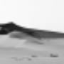 Dunes in Shades of Grey