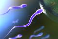 Infertility Treatment