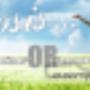 Uploaded by visitor on 2016/05/17 - Banner