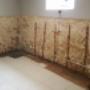 Man Implementing Damp Proofing