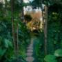 Uploaded by visitor on 2016/07/08 - Beautiful Garden