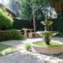 Uploaded by visitor on 2016/07/08 - Garden