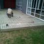 finished deck