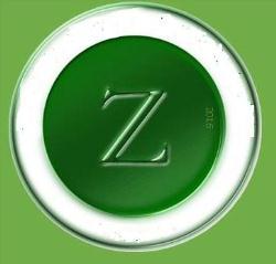 ZARMAN HOLDING (PTY) LTD