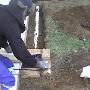 Uploaded by visitor on 2017/10/09 - Damp resolved by putting in a drain to drain water