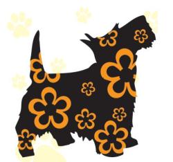 Urbandog Doggy parlour